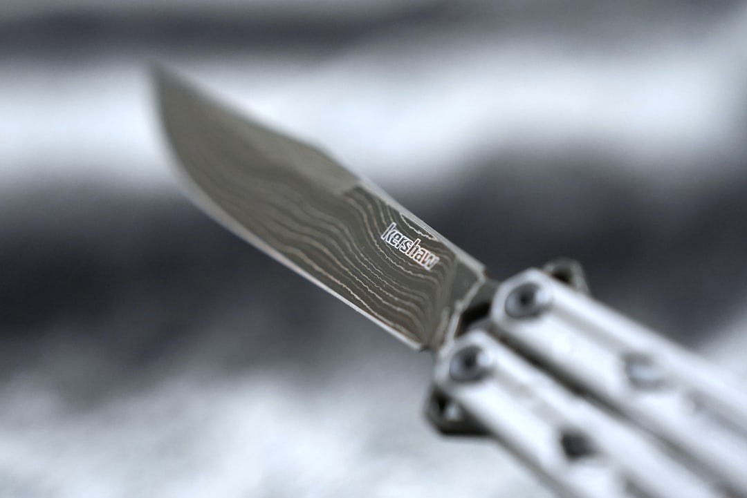 Butterfly Knife Fade (Factory New)